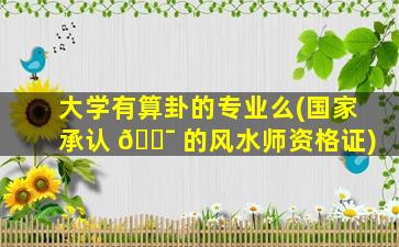大学有算卦的专业么(国家承认 🐯 的风水师资格证)